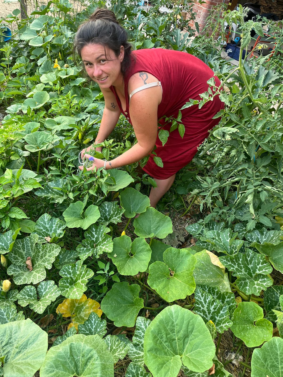 Carole Grouhel dans son jardin, au milieu des courges, tomates et fleurs